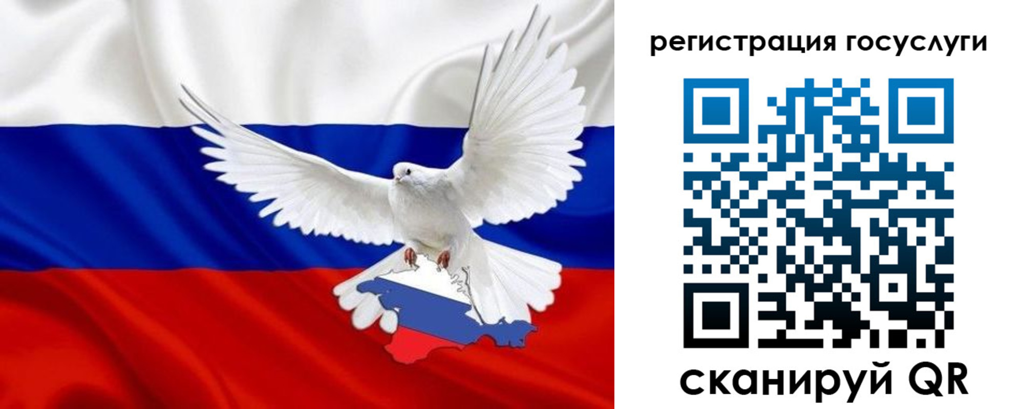 прописка законно в Нелидово